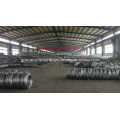 Hot DIP Galvanized Steel Spring Wire